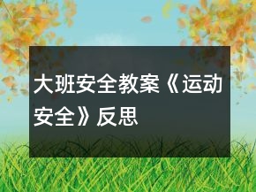 大班安全教案《运动安全》反思
