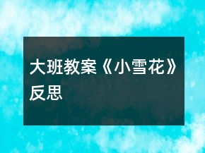大班教案《小雪花》反思