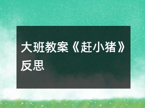大班教案《赶小猪》反思