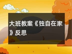 大班教案《独自在家》反思