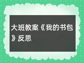 大班教案《我的书包》反思