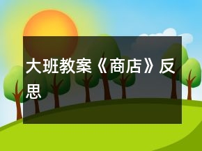 大班教案《商店》反思