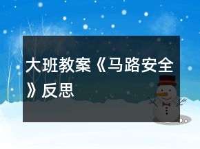 大班教案《马路安全》反思