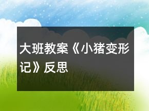 大班教案《小猪变形记》反思