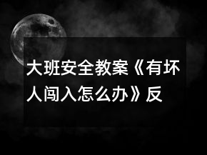 大班安全教案《有坏人闯入怎么办》反思