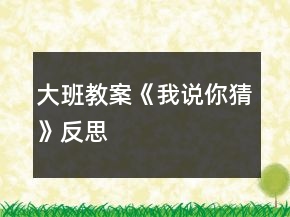 大班教案《我说你猜》反思