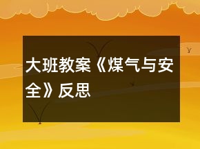 大班教案《煤气与安全》反思