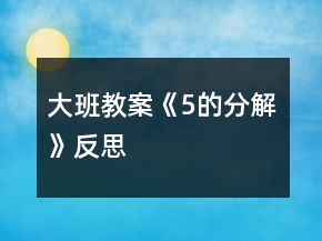 大班教案《5的分解》反思
