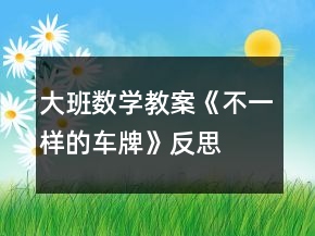 大班数学教案《不一样的车牌》反思