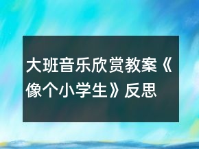 大班音乐欣赏教案《像个小学生》反思