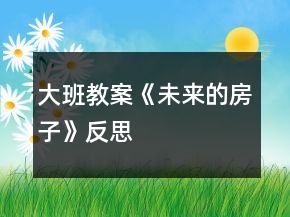 大班教案《未来的房子》反思