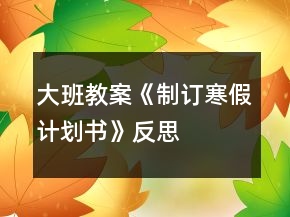 大班教案《制订寒假计划书》反思