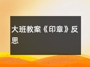 大班教案《印章》反思