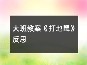 大班教案《打地鼠》反思