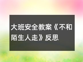 大班安全教案《不和陌生人走》反思