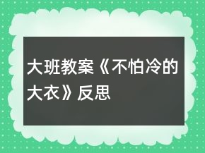 大班教案《不怕冷的大衣》反思