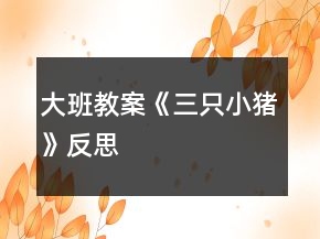 大班教案《三只小猪》反思