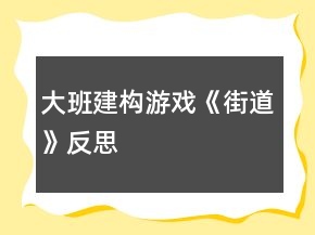 大班建构游戏《街道》反思