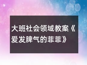 大班社会领域教案《爱发脾气的菲菲》反思