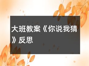 大班教案《你说我猜》反思