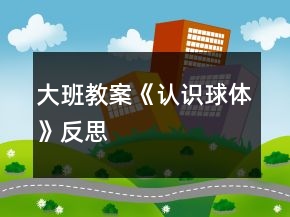 大班教案《认识球体》反思