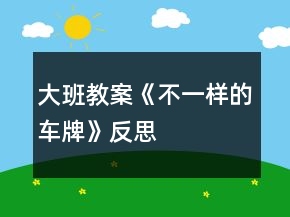 大班教案《不一样的车牌》反思