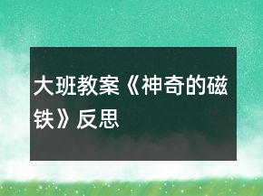 大班教案《神奇的磁铁》反思