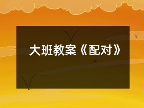 大班教案《配对》