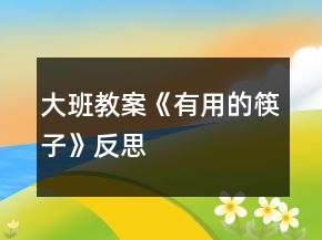 大班教案《有用的筷子》反思