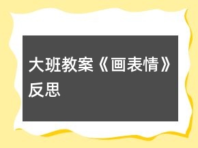 大班教案《画表情》反思