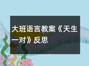 大班语言教案《天生一对》反思