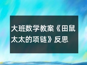 大班数学教案《田鼠太太的项链》反思