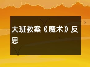 大班教案《魔术》反思