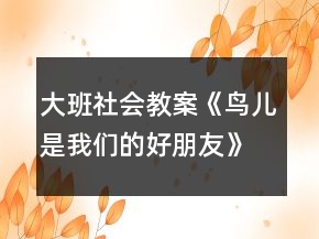大班社会教案《鸟儿是我们的好朋友》反思