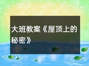大班教案《屋顶上的秘密》