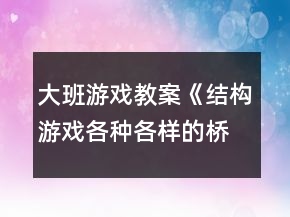 大班游戏教案《结构游戏各种各样的桥》反思