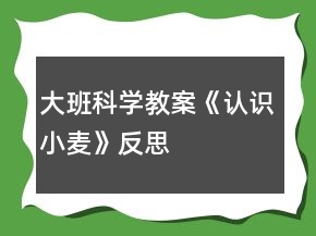 大班科学教案《认识小麦》反思