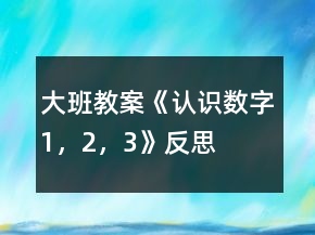 大班教案《认识数字1，2，3》反思