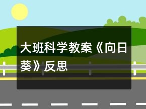 大班科学教案《向日葵》反思