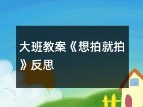 大班教案《想拍就拍》反思