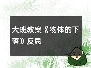 大班教案《物体的下落》反思