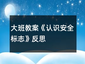 大班教案《认识安全标志》反思