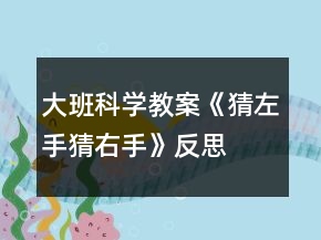大班科学教案《猜左手猜右手》反思