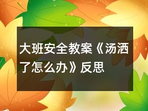 大班安全教案《汤洒了怎么办》反思