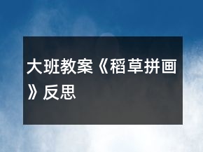 大班教案《稻草拼画》反思