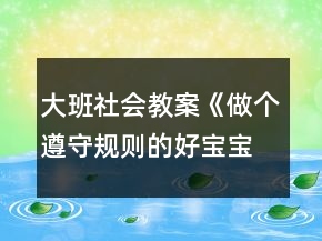 大班社会教案《做个遵守规则的好宝宝》反思