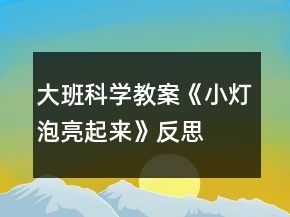 大班科学教案《小灯泡亮起来》反思