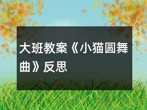 大班教案《小猫圆舞曲》反思