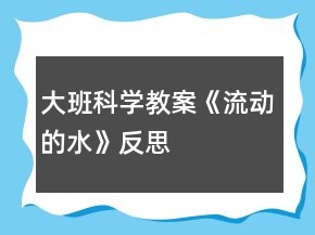 大班科学教案《流动的水》反思
