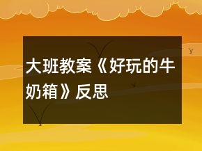大班教案《好玩的牛奶箱》反思